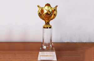 太阳集团娱乐所有网站app集团荣获中国证券金紫荆奖之“最具成长性上市公司”。